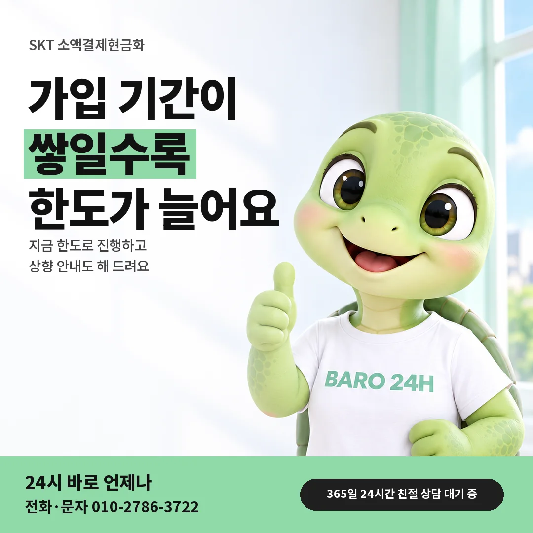 BARO 24H 티셔츠를 입은 3D 거북이 캐릭터 옆에 「SKT 가입 기간별 한도」 제목을 얹은 안내 카드